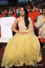 Lion Movie Audio Launch